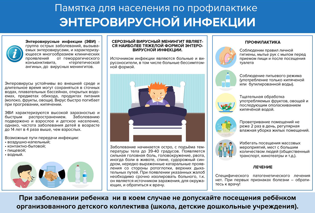 Памятка для населения по профилактике энтеровирусной инфекции