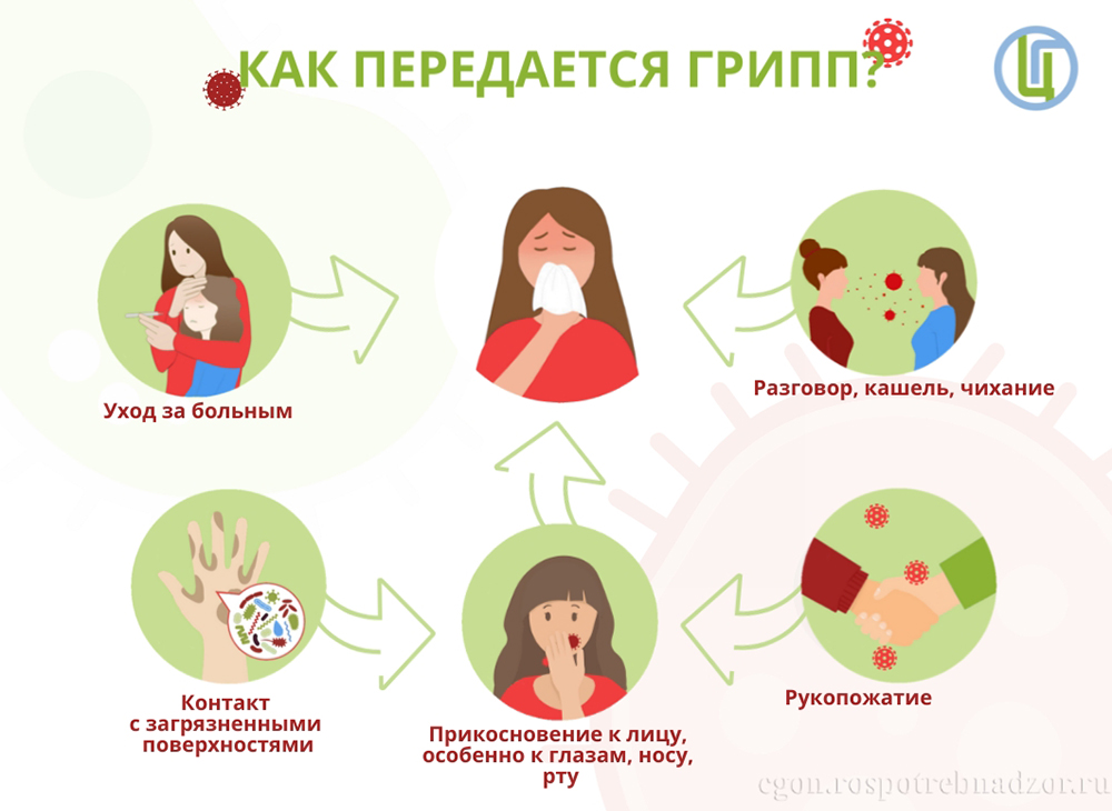 Как передаётся грипп?