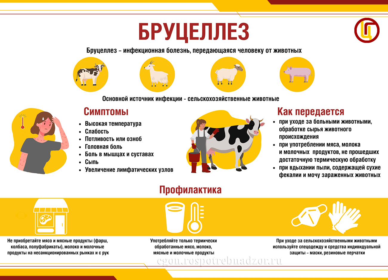 Бруцеллёз