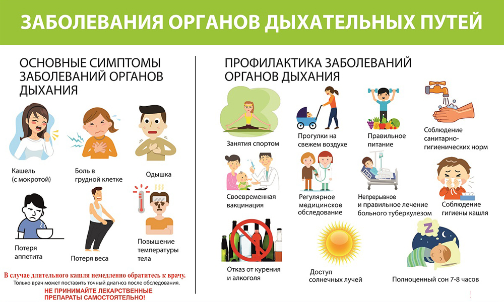 Заболевания органов дыхательных путей