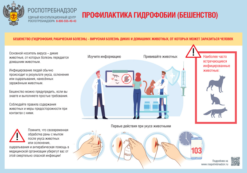 Профилактика гидрофобии (бешенство)