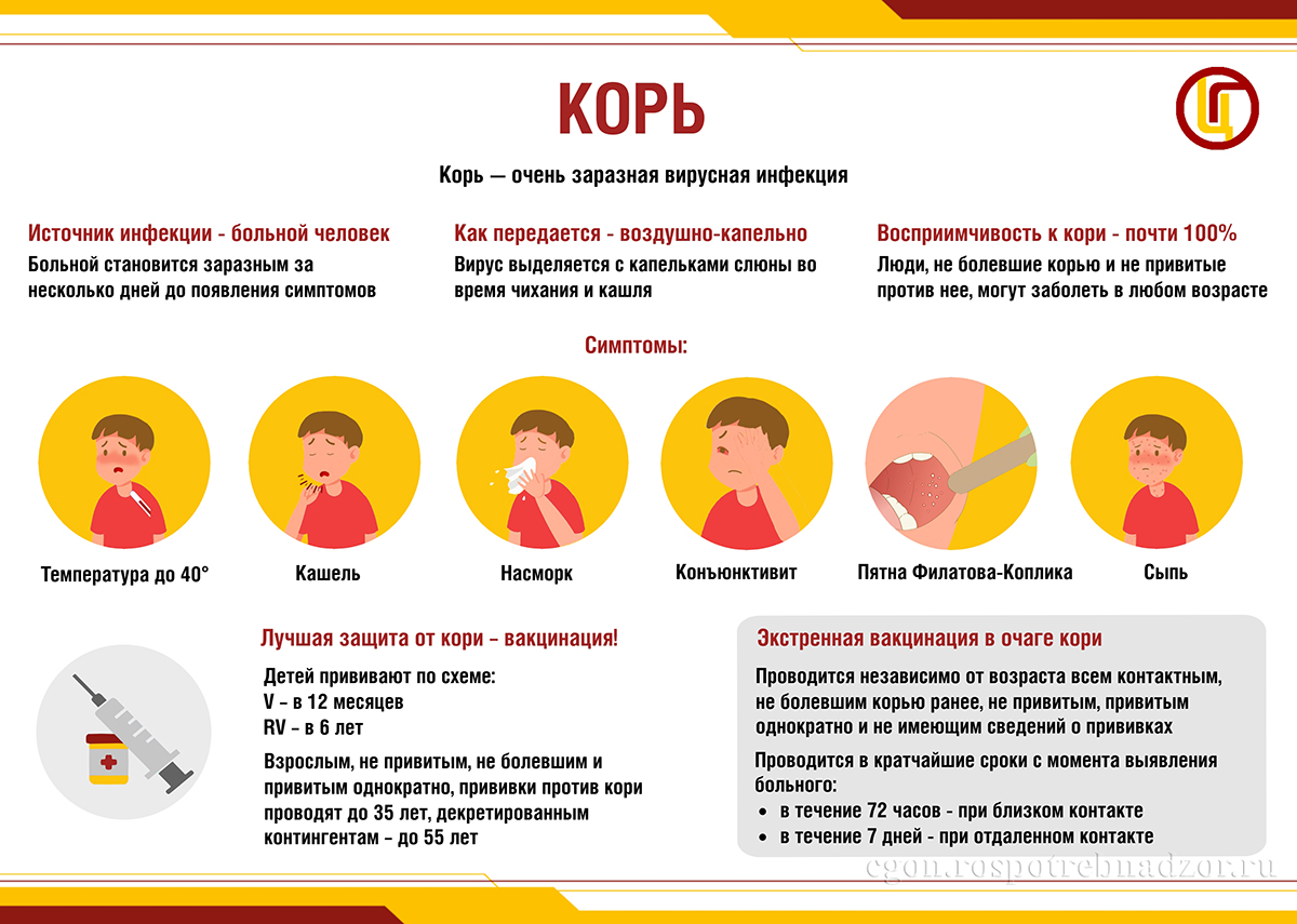 Корь