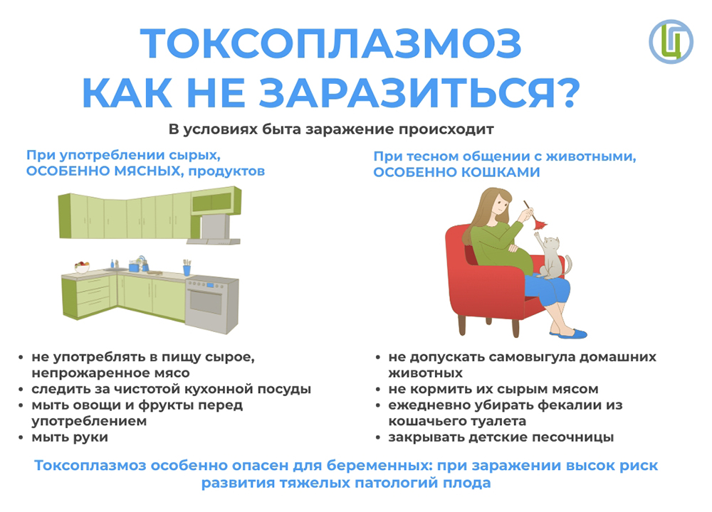 Токсоплазмоз. Как не заразиться?