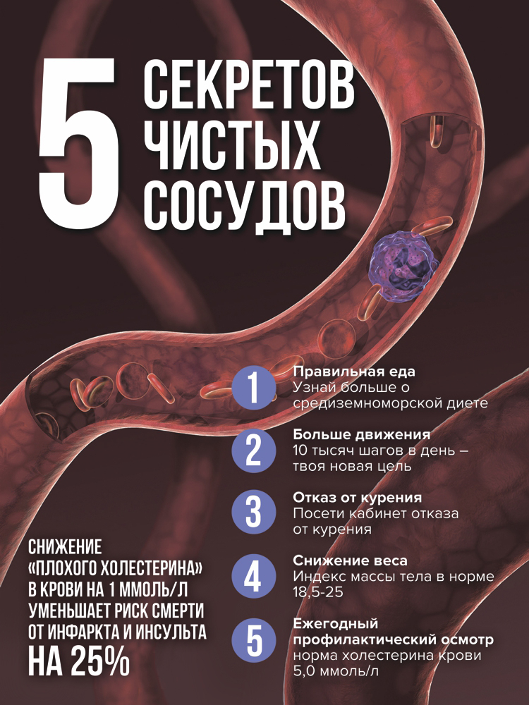 Пять секретов чистых сосудов