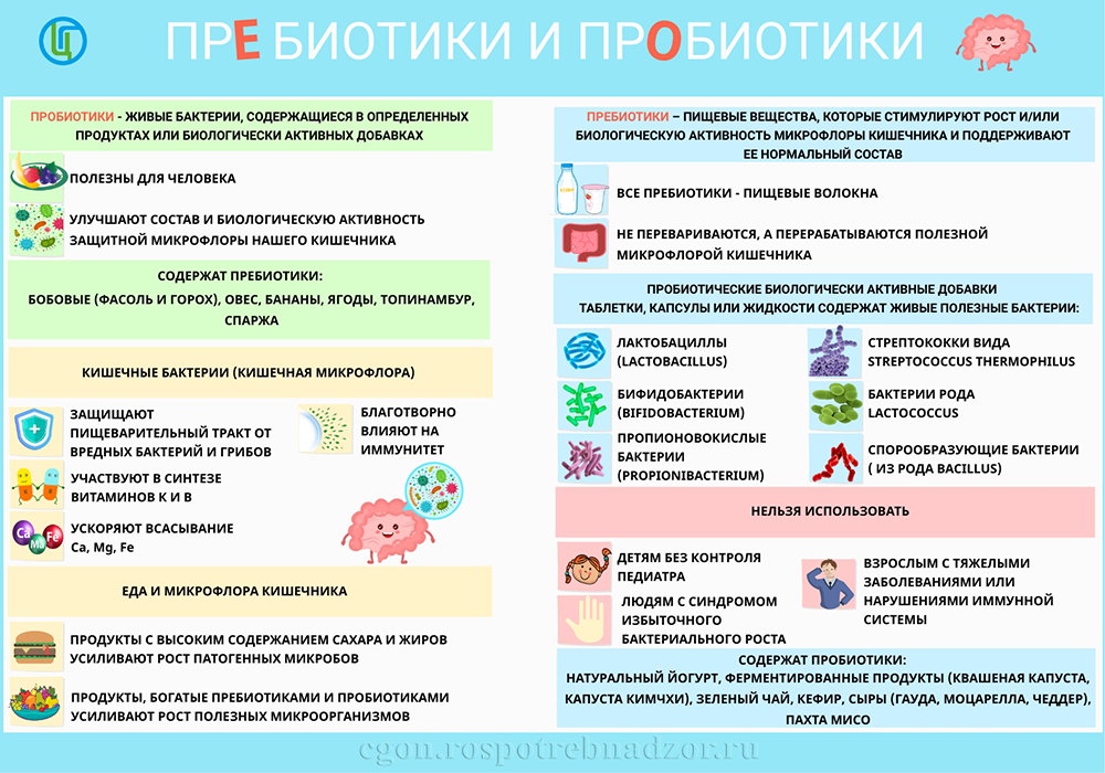 Пребиотики и пробиотики