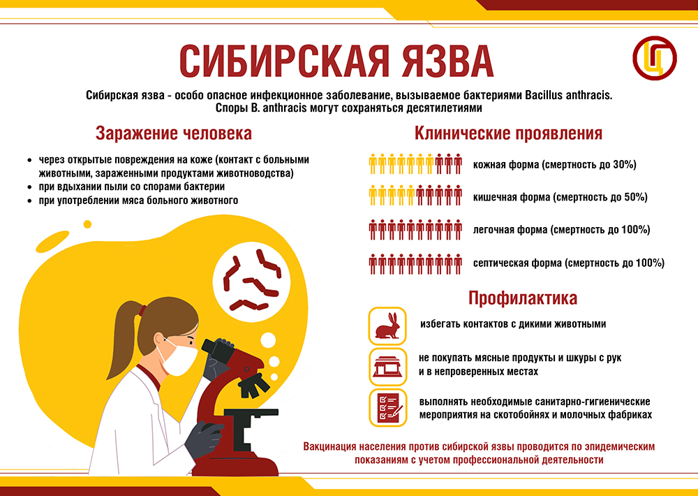 Сибирская язва