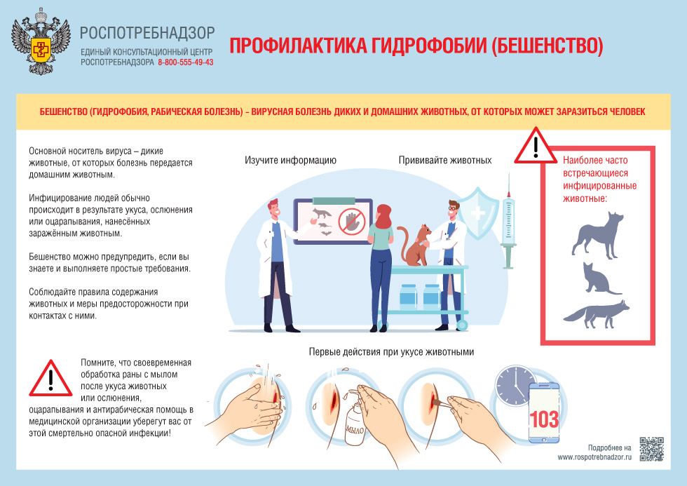 Профилактика гидрофобии (бешенство)
