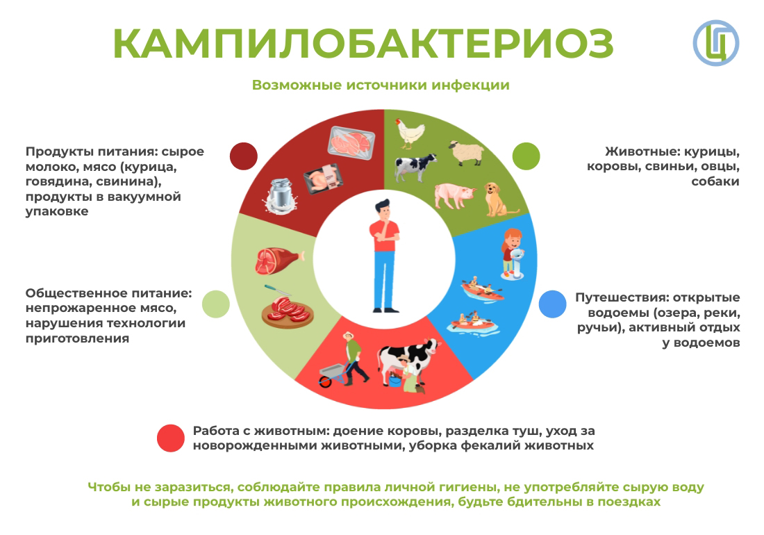 Кампилобактериоз