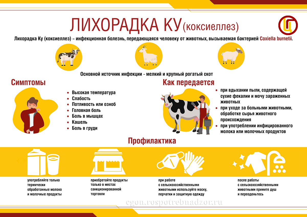 Лихорадка Ку (коксиеллез)