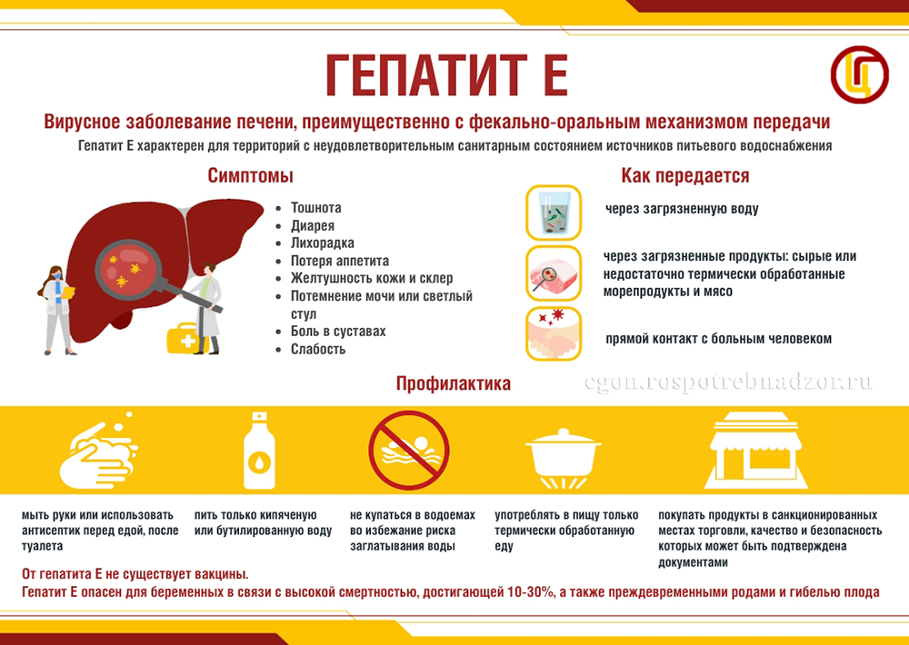 Гепатит E