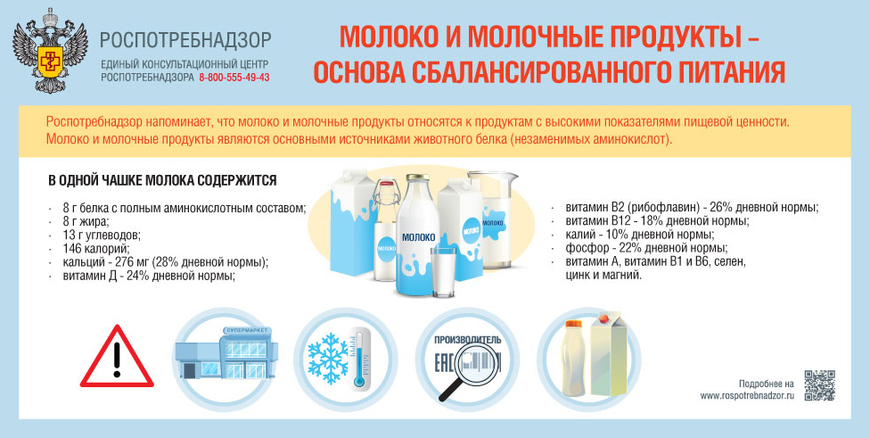 Молоко и молочные продукты — основа сбалансированного питания