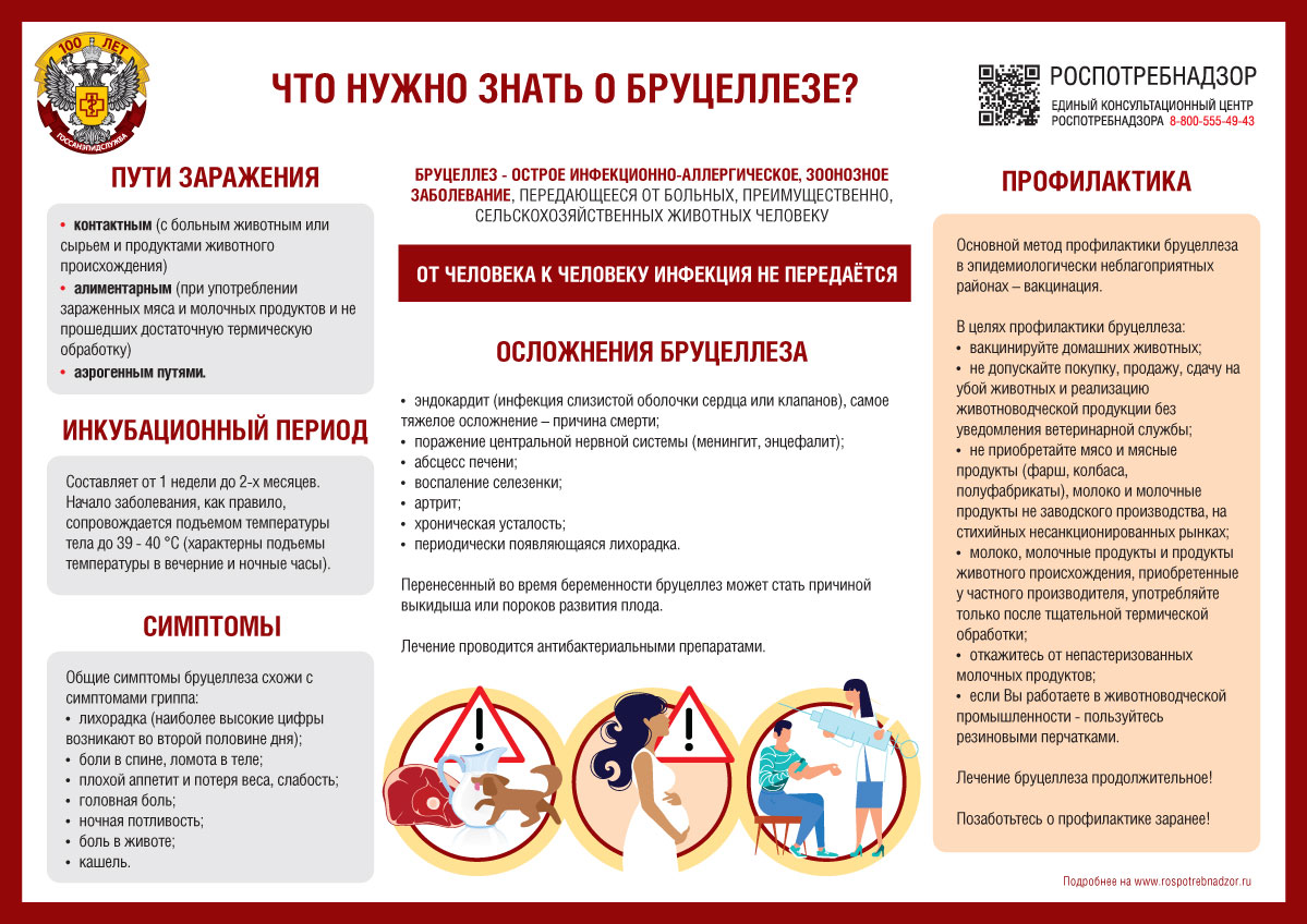 Что нужно знать о бруцеллезе?