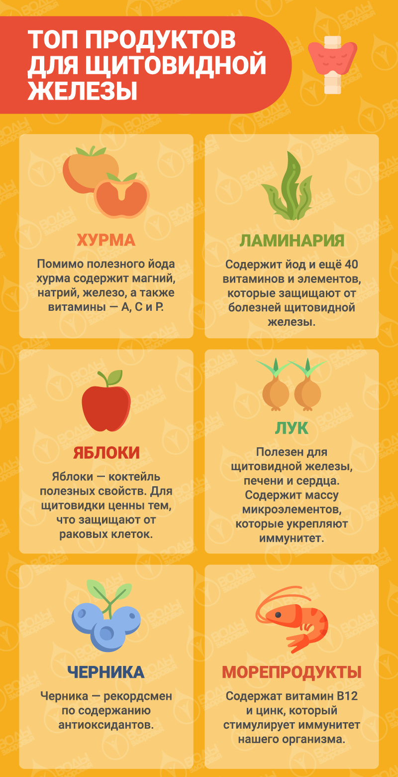 Топ продуктов для щитовидной железы