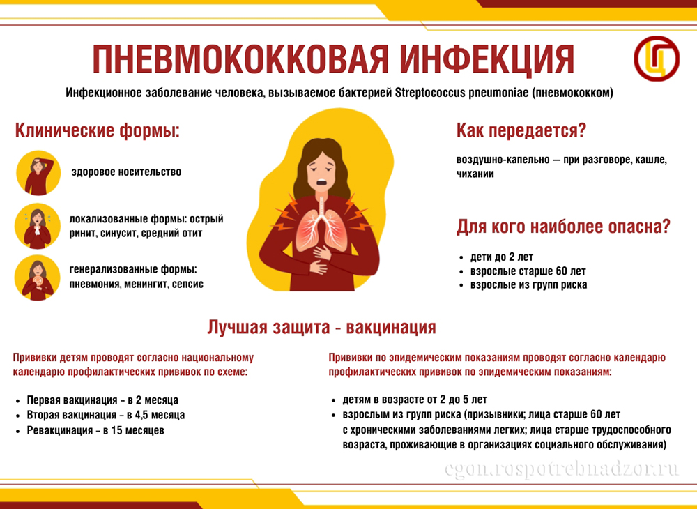Пневмококковая инфекция