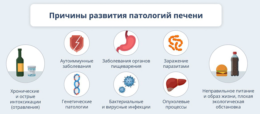 Причины развития патологий печени