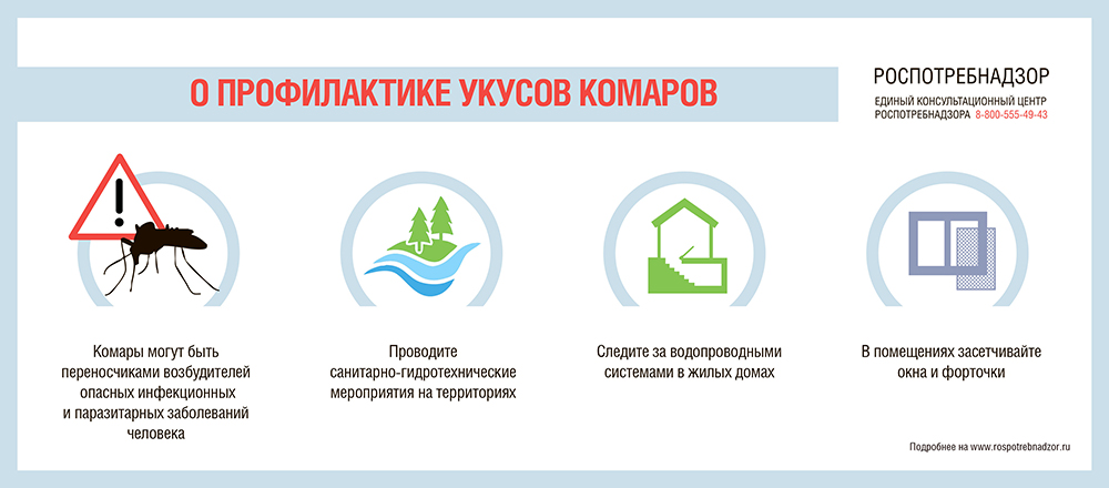 О профилактике укусов комаров