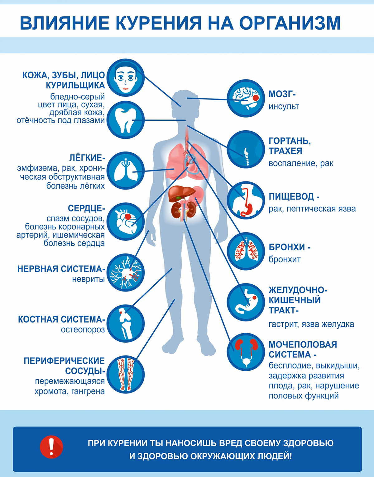 Влияние курения на организм