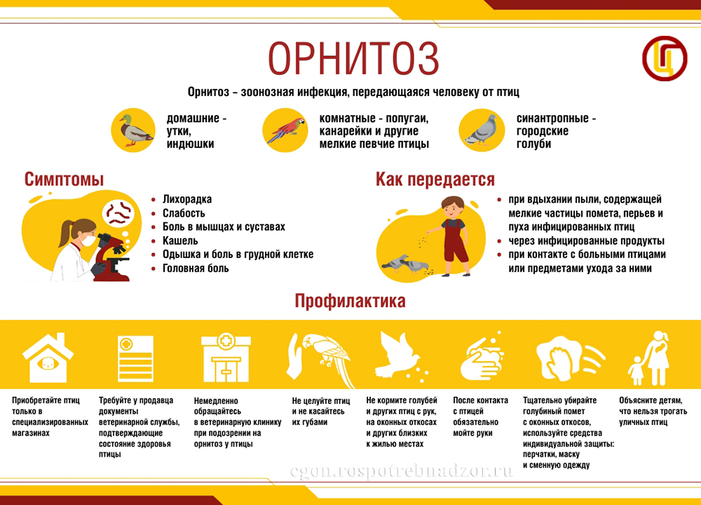 Орнитоз