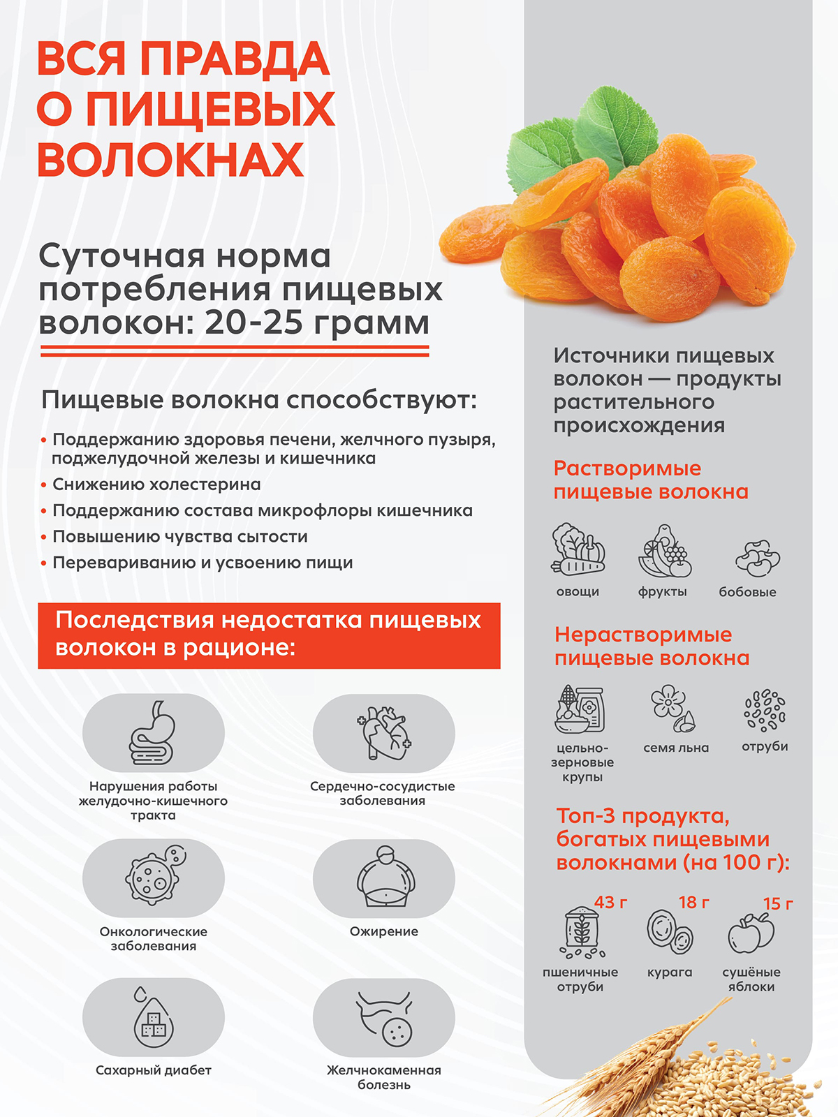 Вся правда о пищевых волокнах