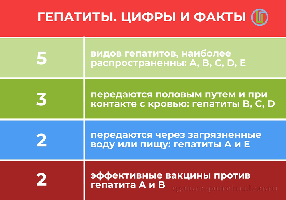 Гепатиты. Цифры и факты