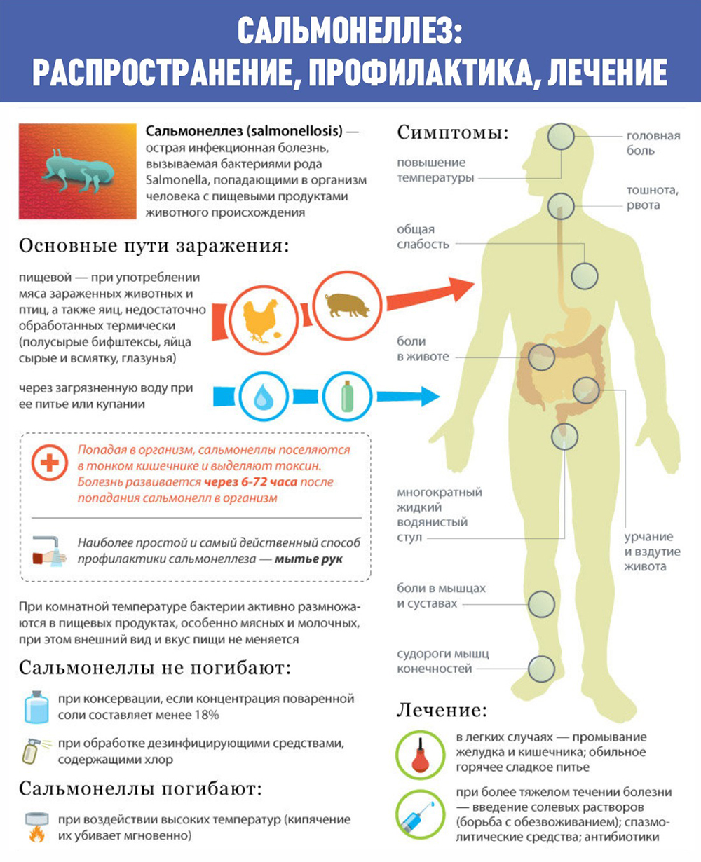 Сальмонеллез: распространение, профилактика, лечение