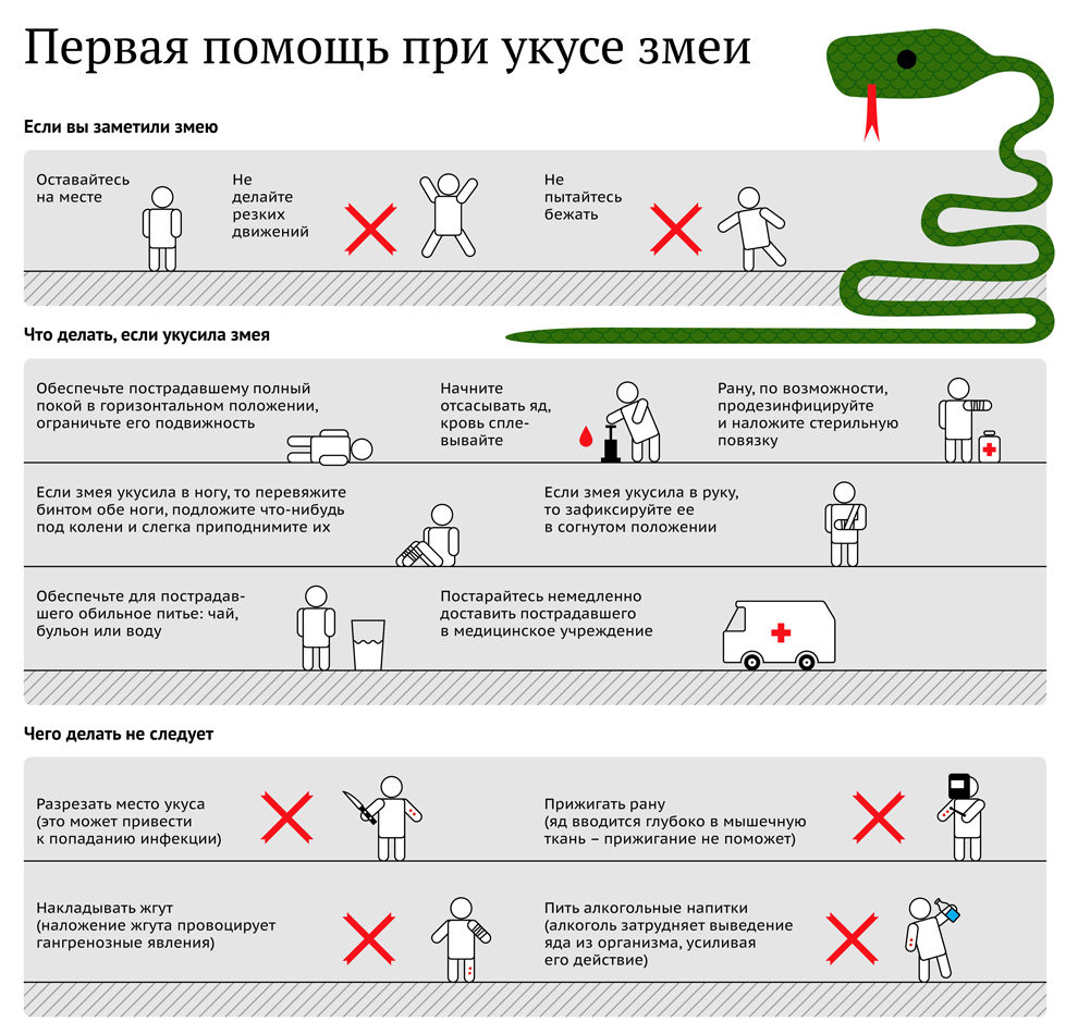 Первая помощь при укусе змеи