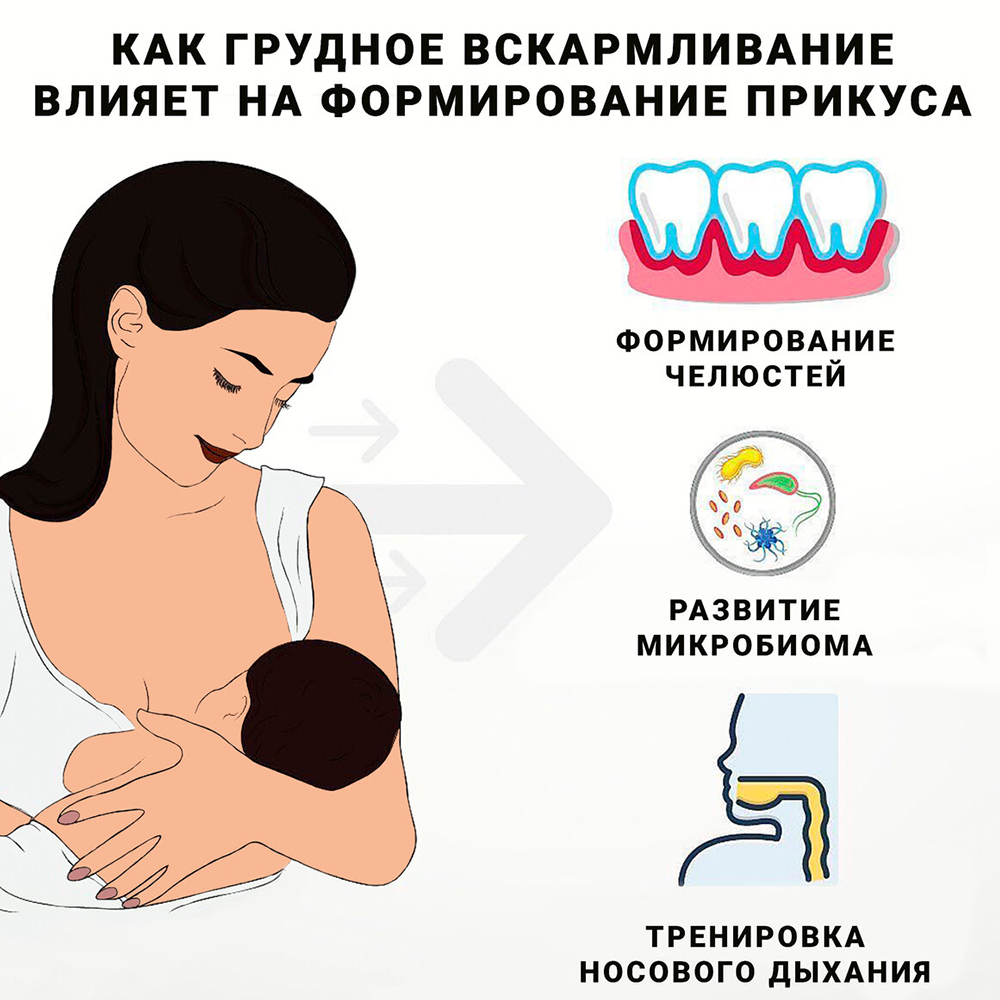 Как грудное вскармливание влияет на формирование прикуса
