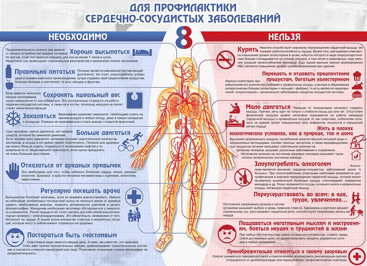 Профилактика сердечно-сосудистых заболеваний
