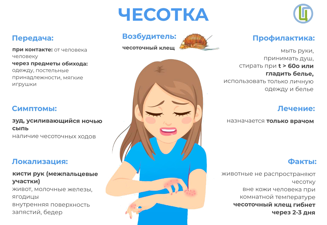 Чесотка