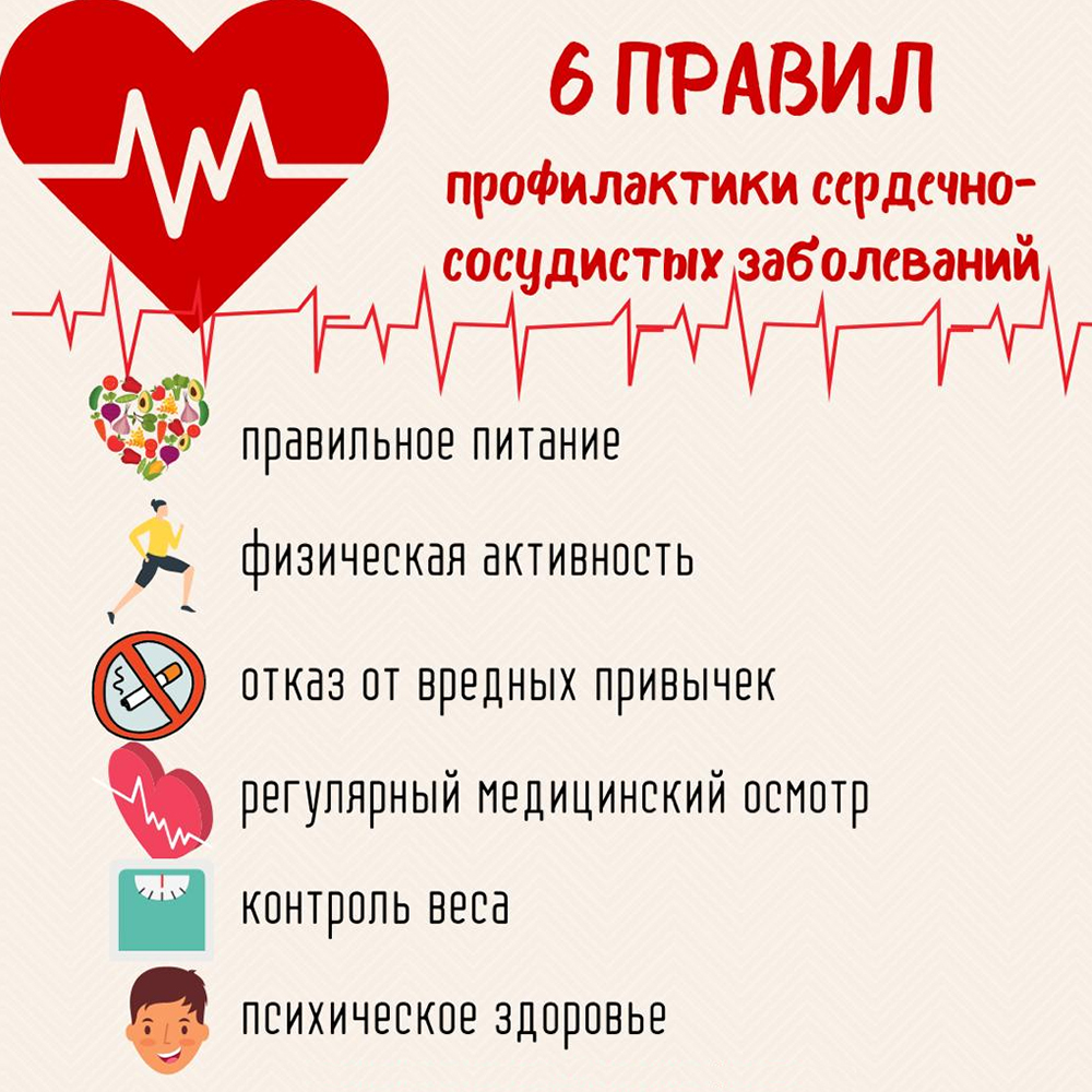 Шесть правил профилактики сердечно-сосудистых заболеваний