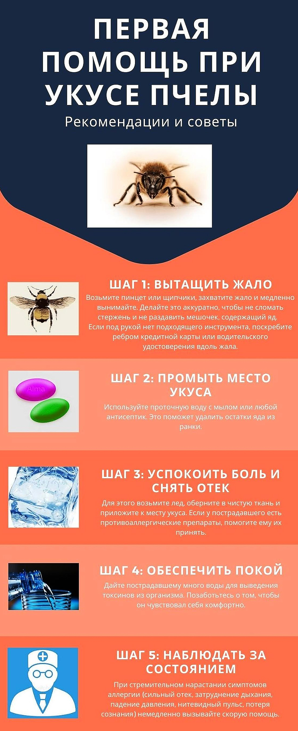 Первая помощь при укусе пчелы. Рекомендации и советы