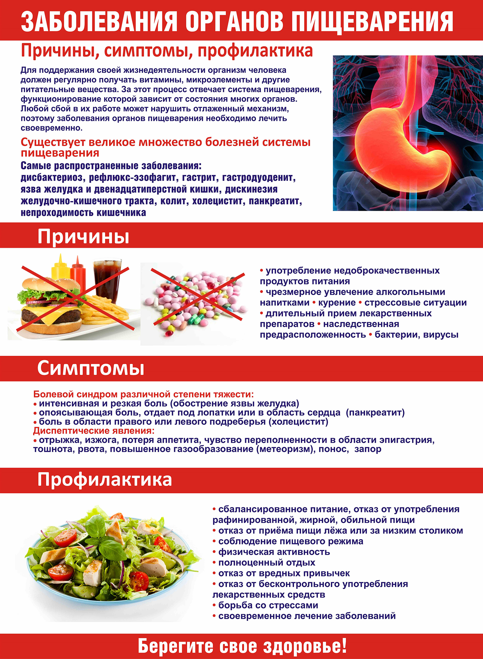 Заболевания органов пищеварения. Причины, симптомы, профилактика