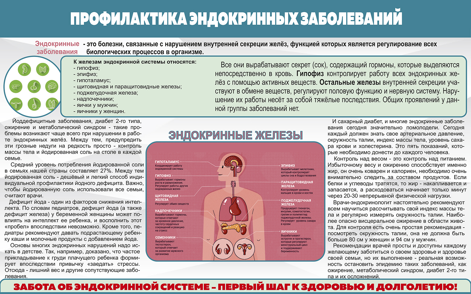 Профилактика эндокринных заболеваний