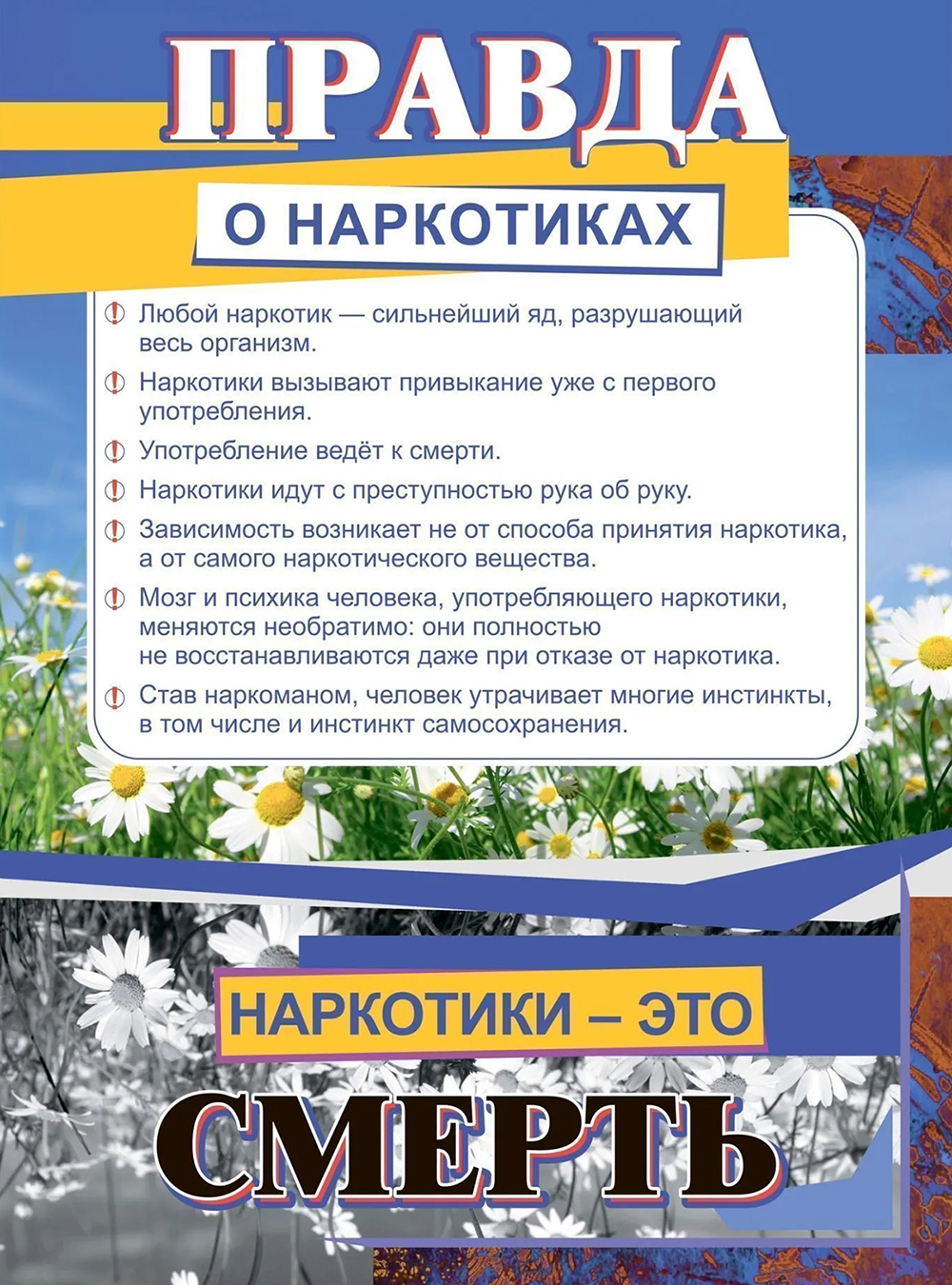 Правда о наркотиках