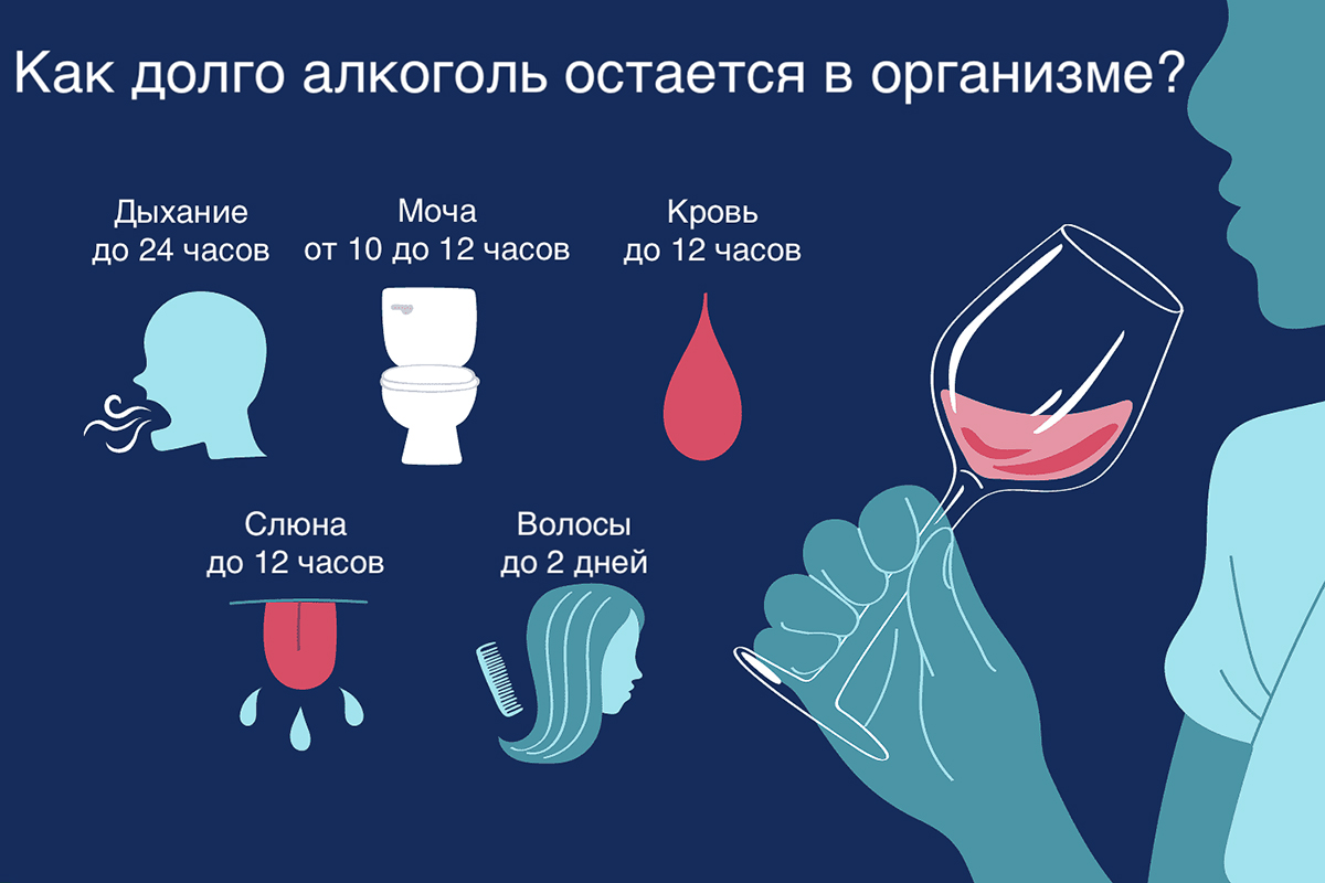 Как долго алкоголь остаётся в организме?
