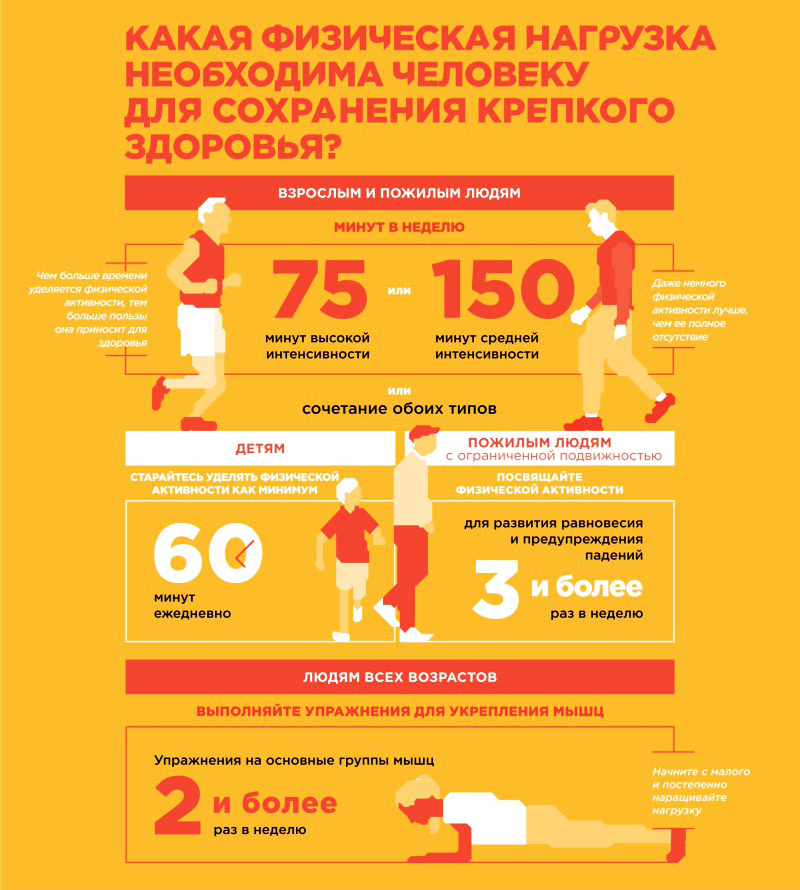 Какая физическая нагрузка необходима человеку для сохранения крепкого здоровья?
