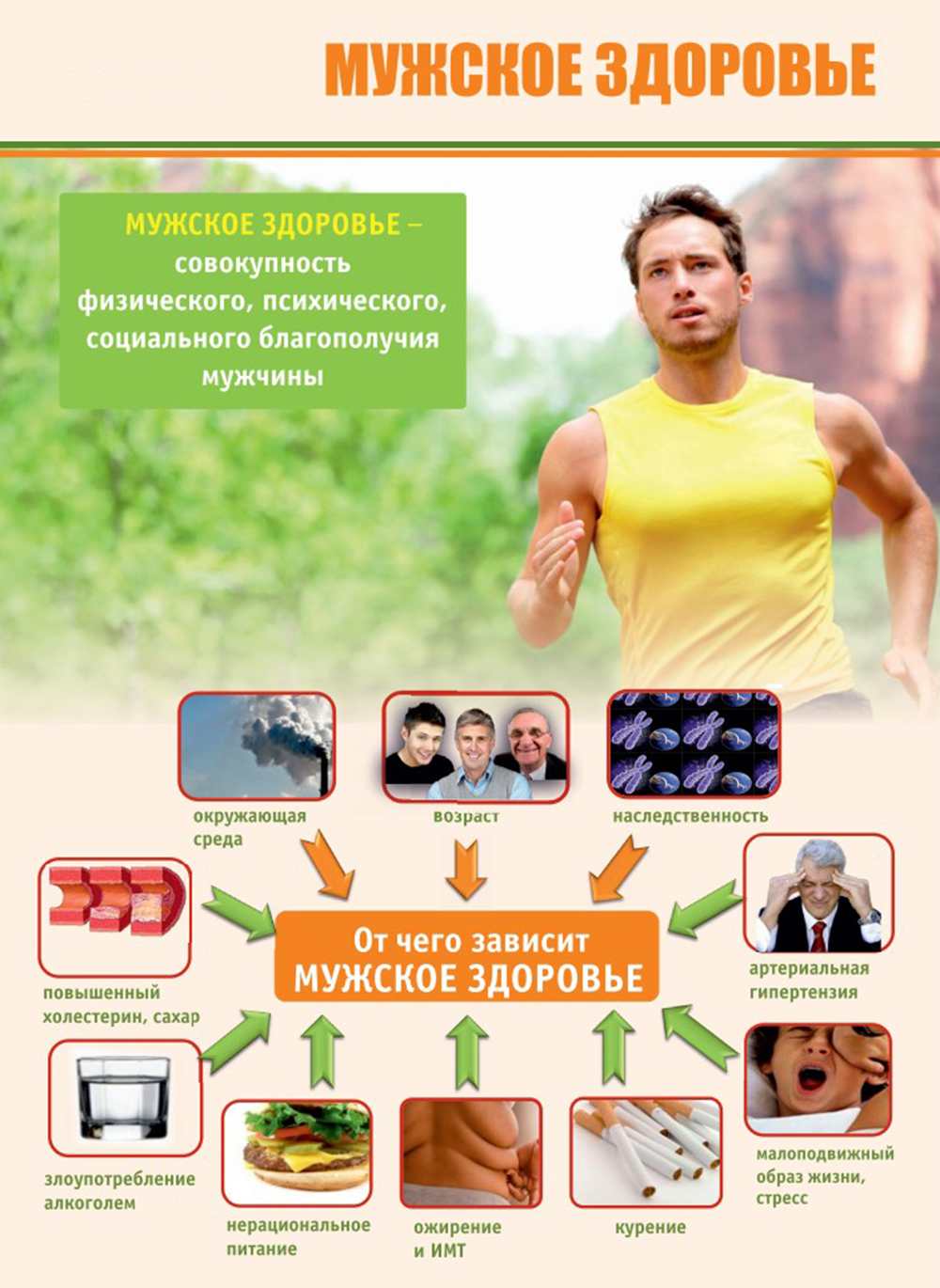 Мужское здоровье